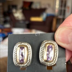 ⭐️50% off ⭐️Bella Elegant Silver and Purple Earrings